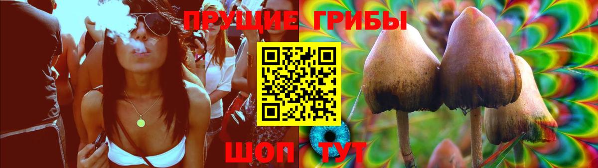 Галлюциногенные грибы MAGIC MUSHROOMS Знаменск